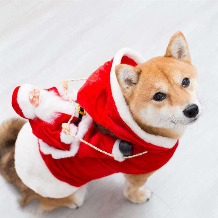 Fashion Christmas Clothes Green Elf Pet Dog Christmas Costume - Elevra